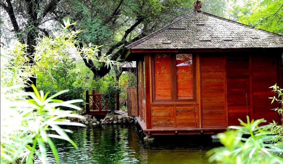 THE TREE HOUSE RESORT